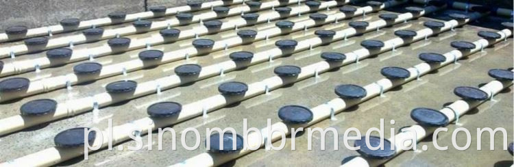 Factory High Efficiency Carbon Vanes for Valve